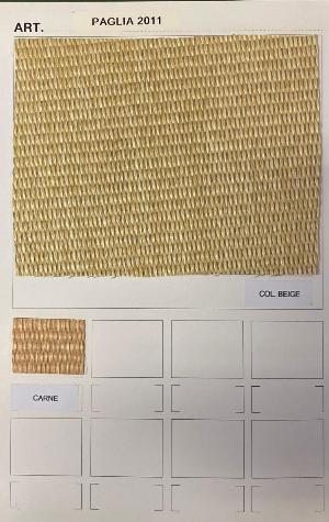 PAGLIA 2011